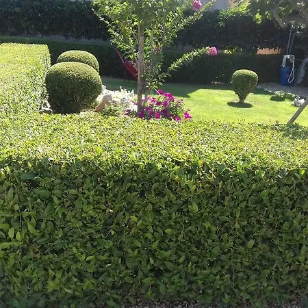 Irena Apartamento Posedarje